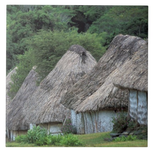 フィジー、ヴィチ、伝統的な小屋 タイル (正面)