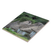 フィジー、ヴィチ、伝統的な小屋 タイル (側面)