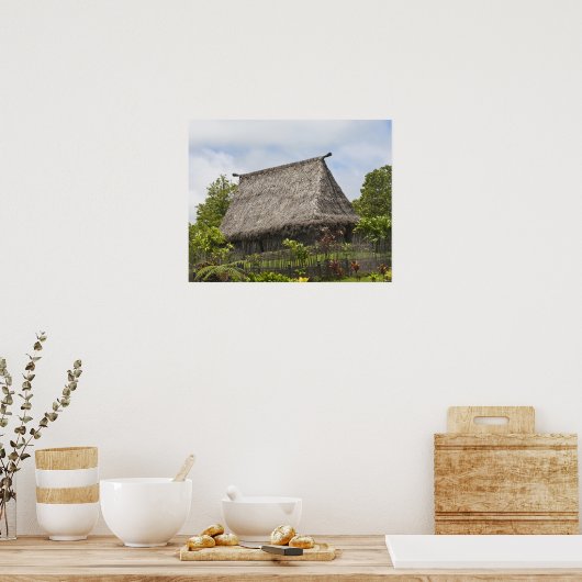 フィジー、ヴィティレヴ島。ポリネシア文化 ポスター (キッチン)