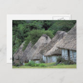 フィジー、ヴィティ、ハット伝統的ハウス。 ポストカード (正面/裏面)