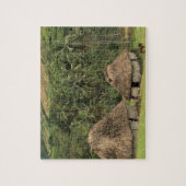 フィジ、ヴィティ·レヴ、ナヴァラ、ブ伝統的ールハウス ジグソーパズル (縦)