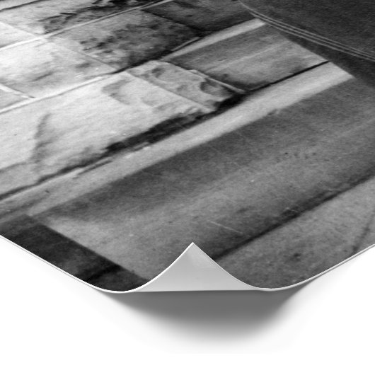 フィスク大学在校生: 1899年 ポスター (角)