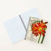 フィチェラフルゲンスノート ノートブック (内部)