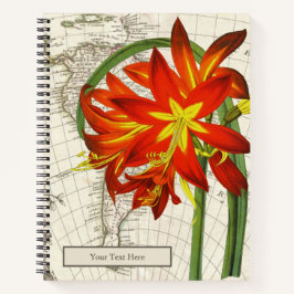 フィチェラフルゲンスノート ノートブック