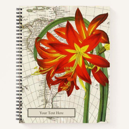 フィチェラフルゲンスノート ノートブック (正面)