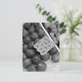 フィッイタリアングポストカード ポストカード (スタンド正面)