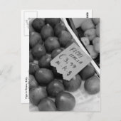 フィッイタリアングポストカード ポストカード (正面/裏面)