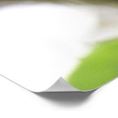 フィッシア ポスター (角)