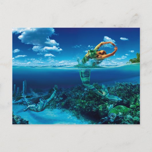 フィッシェポストカルテ ポストカード (正面)