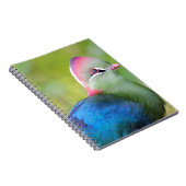 フィッシャーのターコ ノートブック (右側)