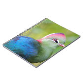 フィッシャーのターコ ノートブック (左側)