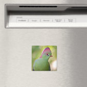 フィッシャーのターコ マグネット (インサイチュ (食洗機))