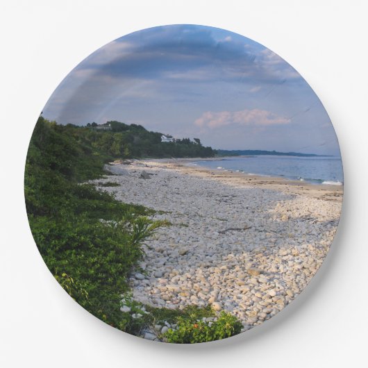 フィッシャーズ島 – イザベラビーチ-紙プレート ペーパープレート (正面)