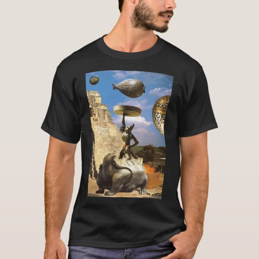 フィッシャー Tシャツ (正面)