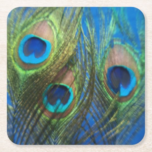 フィッシュアイの孔雀の静物画 スクエアペーパーコースター (正面)