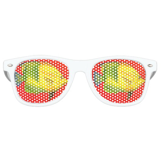 フィッシュアイズサングラス レトロサングラス (正面)