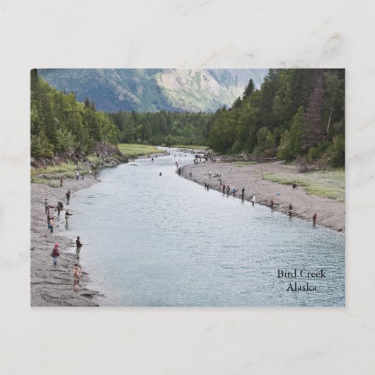 フィッシュアラスカ！ ポストカード (正面)