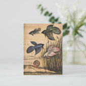 フィッシュアート ポストカード (スタンド正面)