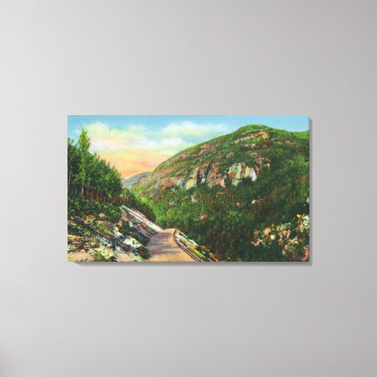 フィッシュクリークグランドサラナックインの空中表示 キャンバスプリント (正面)