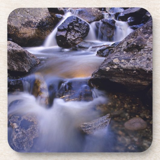 フィッシュクリーク滝ズニアスチームボート春コロラド コースター (正面)