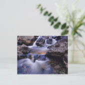 フィッシュクリーク秋ズニアスティームボート春コロラド ポストカード (スタンド正面)