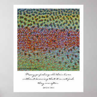 フィッシュスキンズモンタージュポスター ポスター