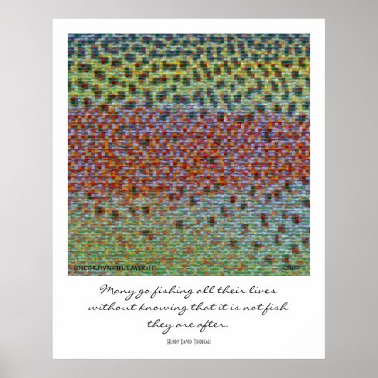 フィッシュスキンズモンタージュポスター ポスター (正面)