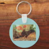フィッシュタンクキーチェーン キーホルダー (正面)