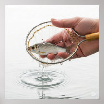 フィッシュネットグラフィック