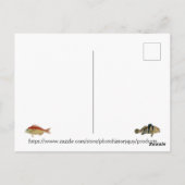 フィッシュフィッシャーマントロピカルフィッシュ海エキゾチック魚釣り ポストカード (裏面)