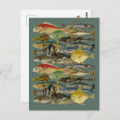 フィッシュフィッシャーマントロピカルフィッシュ海エキゾチック魚釣り ポストカード (正面/裏面)