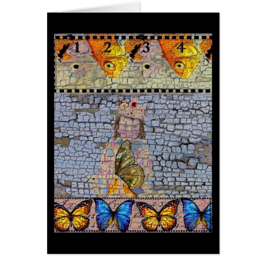 フィッシュボーイミックスメディアすべての行事 (正面)