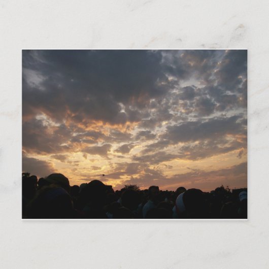 フィッシュボール ポストカード (正面)