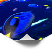 フィッシュポスタービーチハウスポスター ポスター (コーナー)