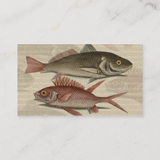 フィッシュレッドパーチフィッシャーマンアート 名刺 (裏面)