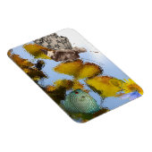 フィッシュ&フェイリーマグネット マグネット (右側)