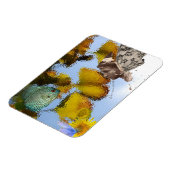 フィッシュ&フェイリーマグネット マグネット (左側)