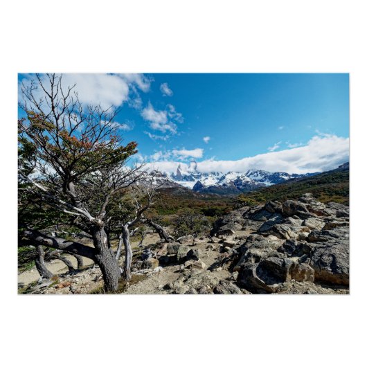 フィッツロイ山を望む ポスター (正面)