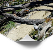 フィッツロイ山を望む ポスター (コーナー)