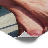 フィットネスガールポスター ポスター (角)