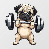 フィットネスプリン ウィンドウサイン (シート)