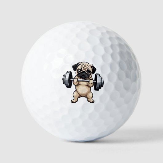 フィットネスプリン ゴルフボール (正面)