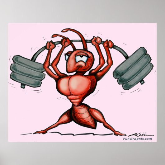 フィットネスDivaポスター ポスター (正面)