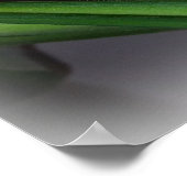 フィッ葉ク ポスター (角)