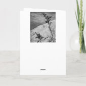 フィデリアブリッジ サンキューカード (裏面)