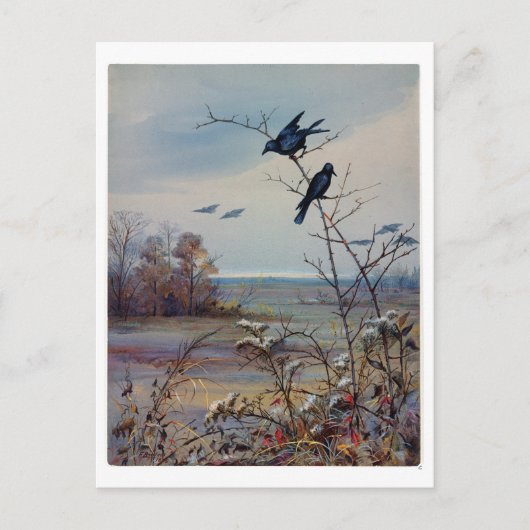 フィデリアブリッジ シーズンポストカード (正面)