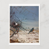 フィデリアブリッジ シーズンポストカード (正面)