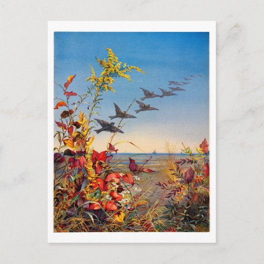 フィデリアブリッジ シーズンポストカード (正面)