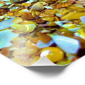 フィドラーカニ フォトプリント            (角)