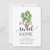 フィドルリーフフィグ |お知らせ 案内状 (正面)